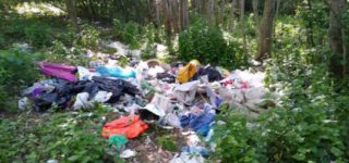 RAPORT: Edukować i karać. Zjawisko zaśmiecania lasów w Polsce